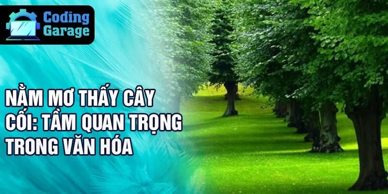  Nằm mơ thấy cây cối: tầm quan trọng trong văn hóa