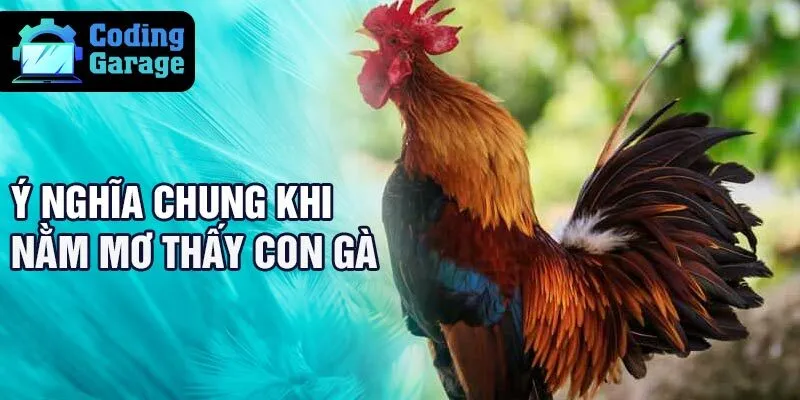 Ý nghĩa chung khi nằm mơ thấy con gà