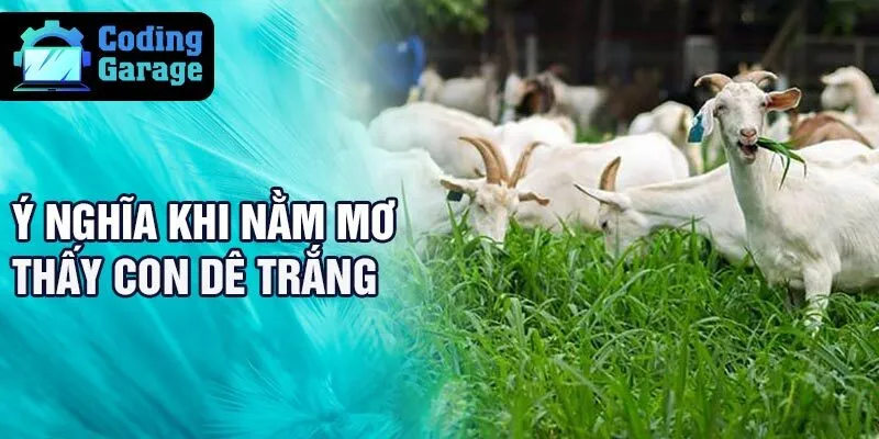 Ý nghĩa khi nằm mơ thấy con dê trắng