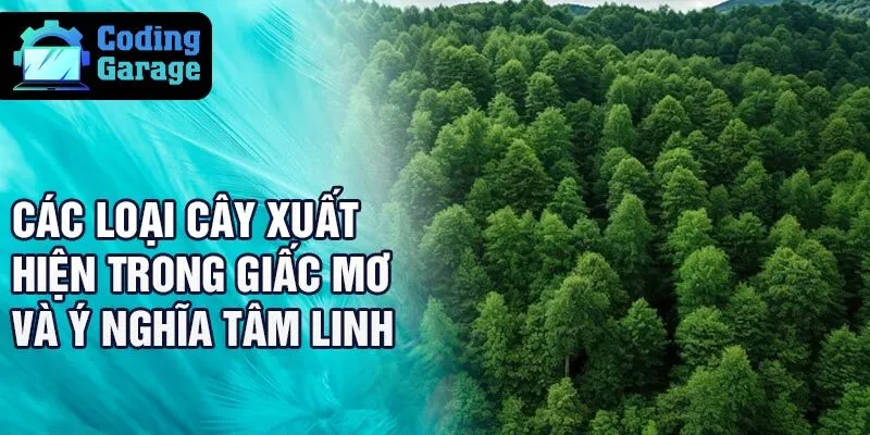 Các loại cây xuất hiện trong giấc mơ và ý nghĩa tâm linh