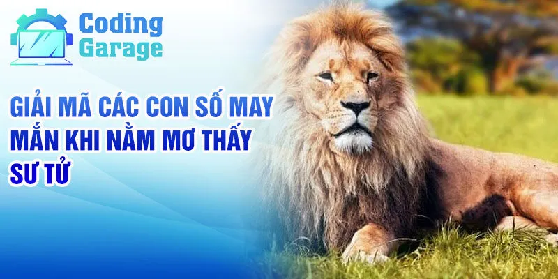 Nằm mơ thấy sư tử: Giải mã giấc mơ và ý nghĩa các số 3 Giải mã các con số may mắn khi nằm mơ thấy sư tử