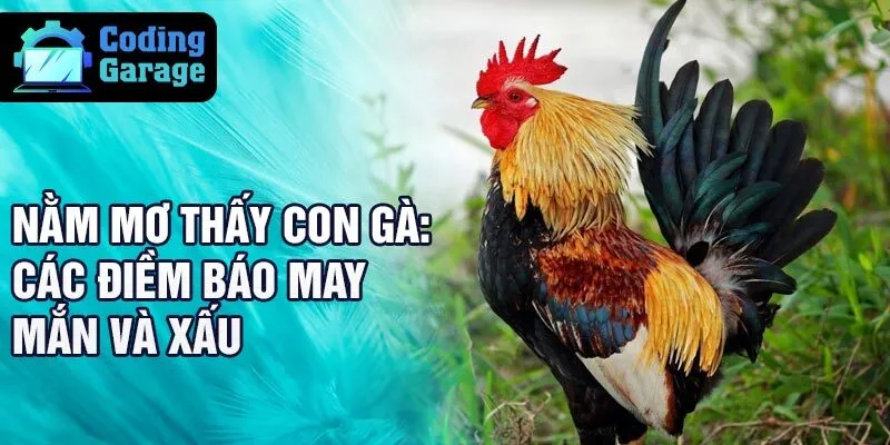 Nằm mơ thấy con gà: các điềm báo may mắn và xấu