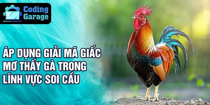 Áp dụng giải mã giấc mơ thấy gà trong lĩnh vực soi cầu