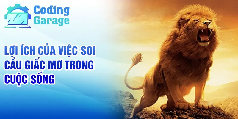 Nằm mơ thấy sư tử: Giải mã giấc mơ và ý nghĩa các số 4 Lợi ích của việc soi cầu giấc mơ trong cuộc sống