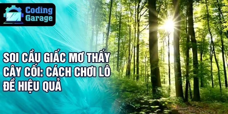 Soi cầu giấc mơ thấy cây cối: cách chơi lô đề hiệu quả