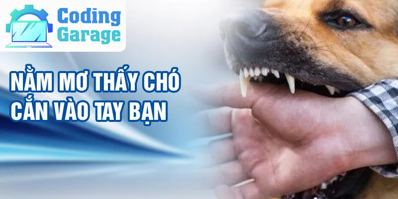 Nằm Mơ Thấy Chó Cắn: Khám Phá Ý Nghĩa Và Vận May 2 Nằm mơ thấy chó cắn vào tay bạn