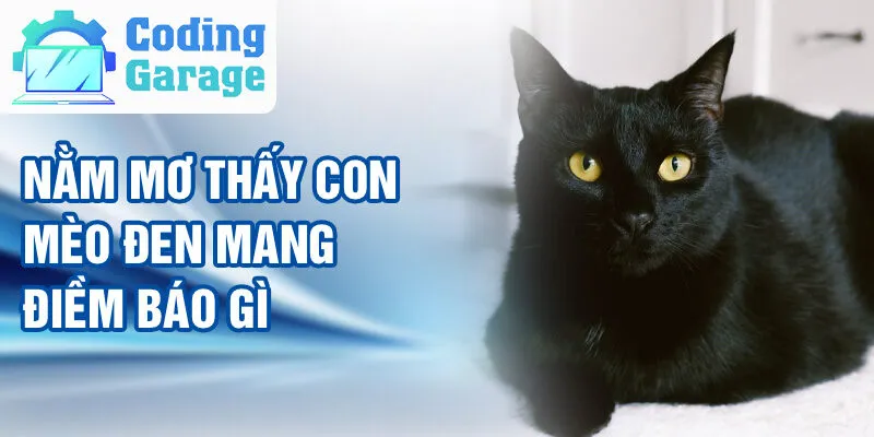 Nằm Mơ Thấy Con Mèo: Khám Phá Bí Ẩn Từ Cõi Mộng 2 Nằm mơ thấy con mèo đen mang điềm báo gì