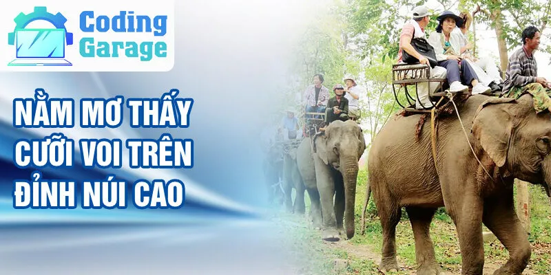 Nằm Mơ Thấy Cưỡi Voi: Bí Ẩn Và Con Số May Mắn 2 Nằm mơ thấy cưỡi voi trên đỉnh núi cao
