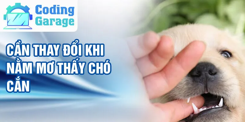 Nằm Mơ Thấy Chó Cắn: Khám Phá Ý Nghĩa Và Vận May 3 Cần thay đổi khi nằm mơ thấy chó cắn