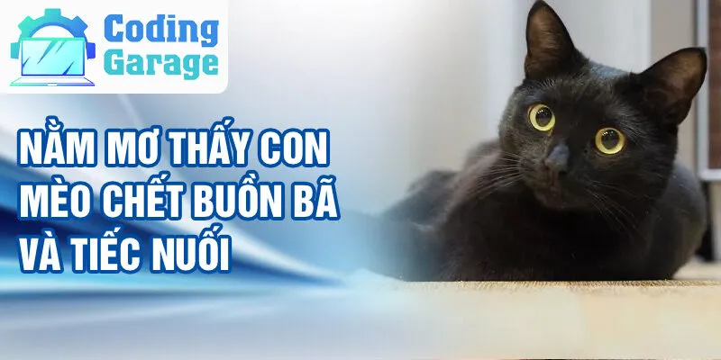 Nằm Mơ Thấy Con Mèo: Khám Phá Bí Ẩn Từ Cõi Mộng 3 Nằm mơ thấy con mèo chết buồn bã và tiếc nuối