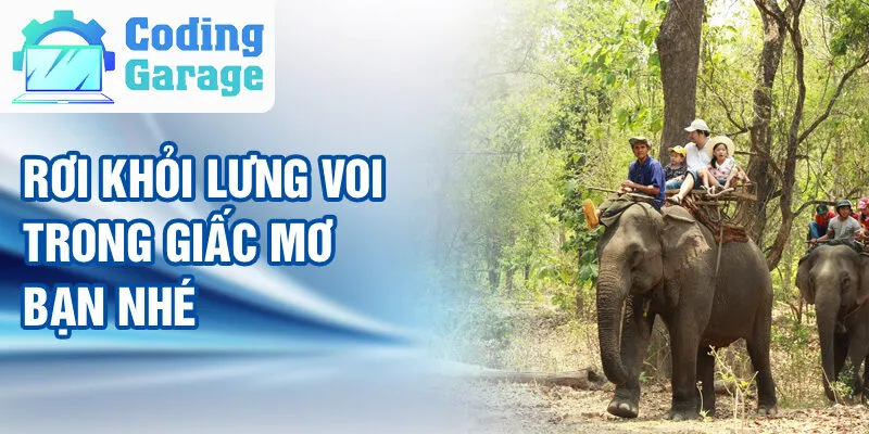 Nằm Mơ Thấy Cưỡi Voi: Bí Ẩn Và Con Số May Mắn 3 Rơi khỏi lưng voi trong giấc mơ bạn nhé