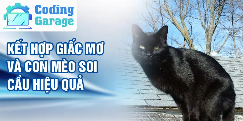 Nằm Mơ Thấy Con Mèo: Khám Phá Bí Ẩn Từ Cõi Mộng 4 Kết hợp giấc mơ và con mèo soi cầu hiệu quả