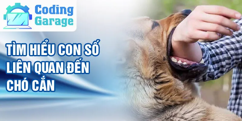 Nằm Mơ Thấy Chó Cắn: Khám Phá Ý Nghĩa Và Vận May 4 Tìm hiểu con số liên quan đến chó cắn